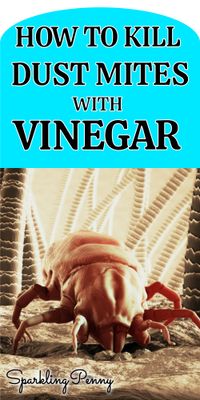 Does Vinegar Kill Dust Mites?
